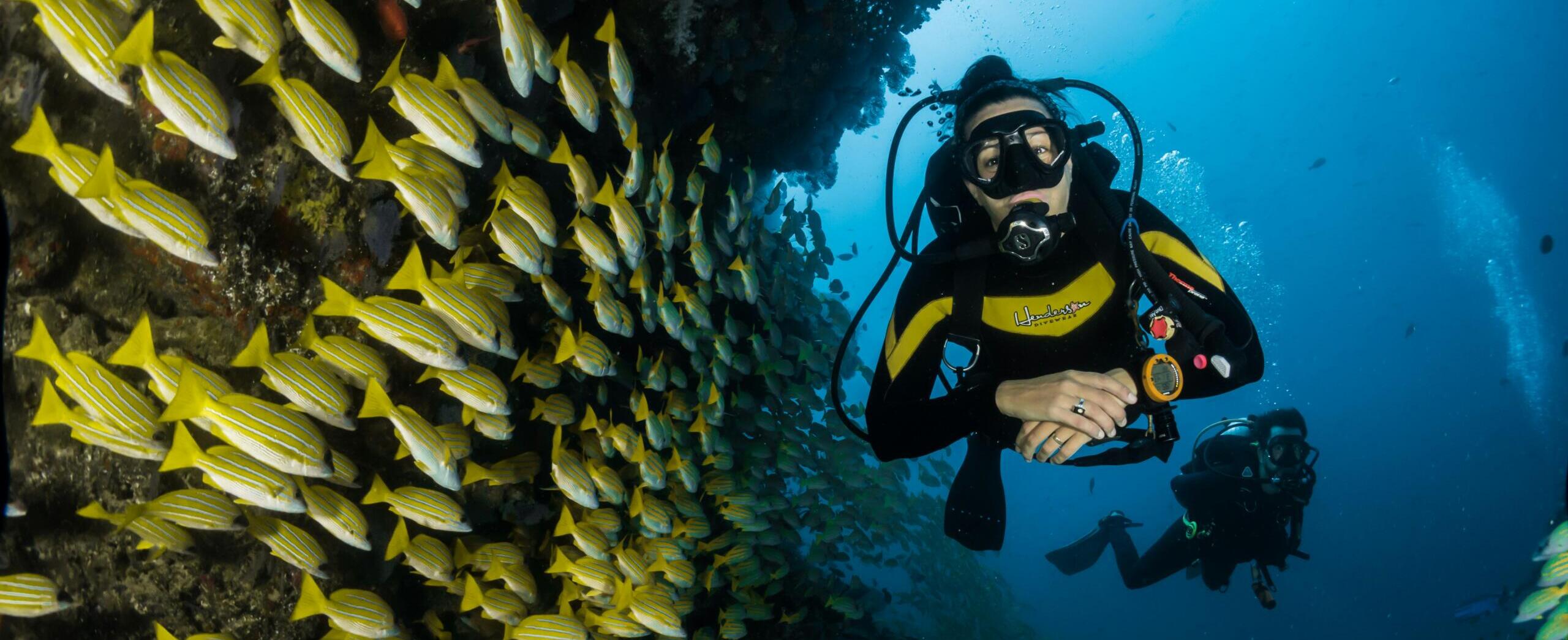 Best Egypt Red Sea Beaches | Top Class Egypt Travel