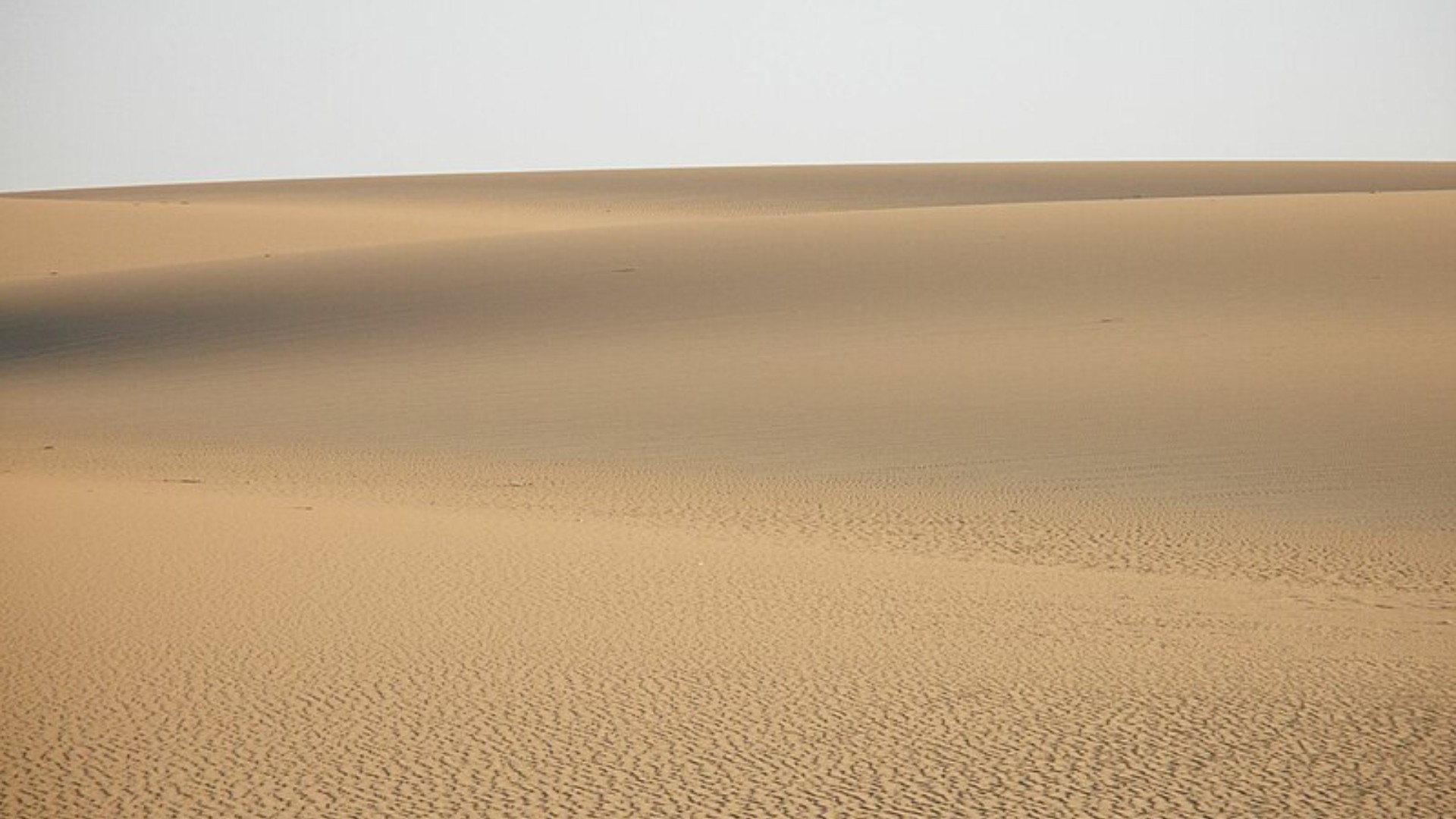 Desert Safari in Kharga Oasis - Top Class Egypt Travel