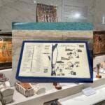 National Museum Of Egyptian Civilization Visit Top Class