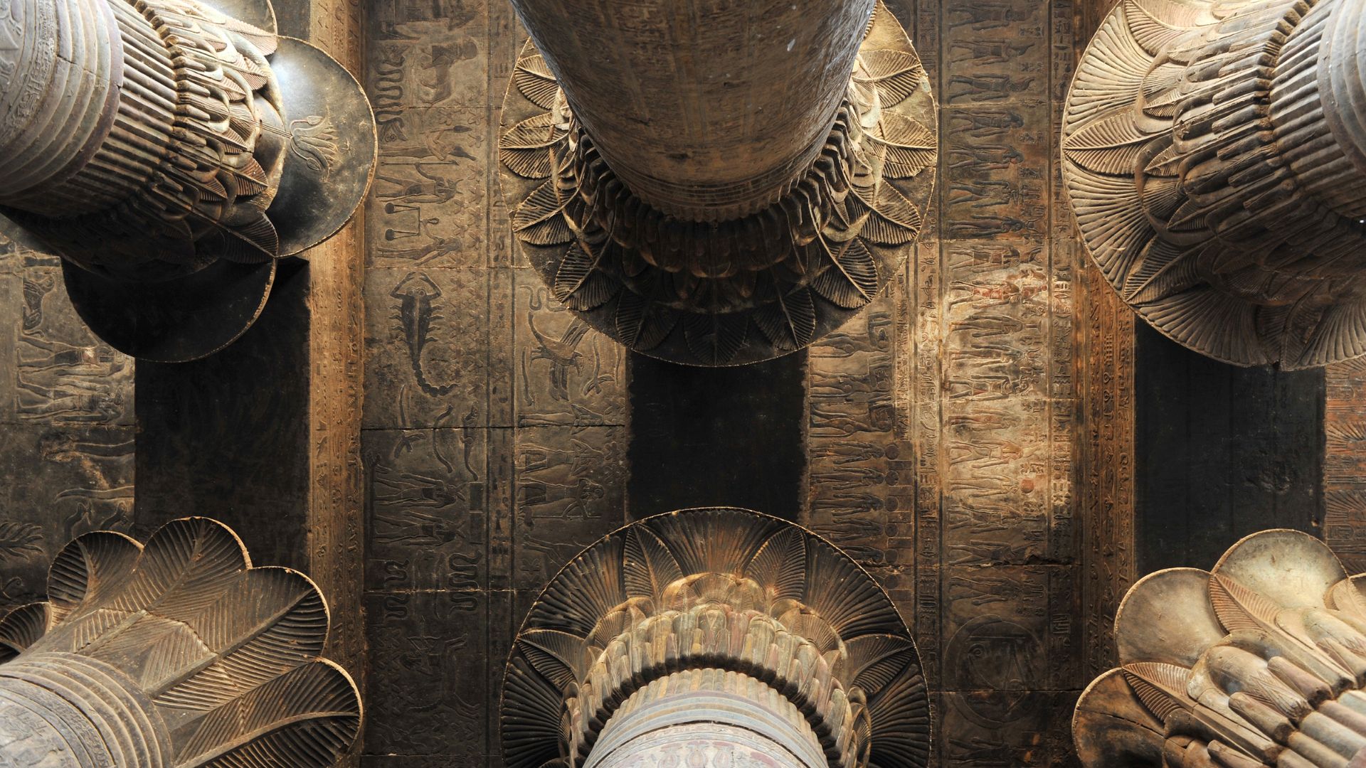 Temple of Esna Tour- Top Claa Egypt Travel