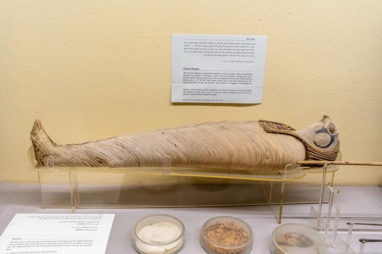Museo della Mummificazione