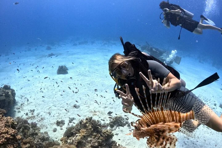 Diving in Hurghada: Explore the Red Sea’s Magic