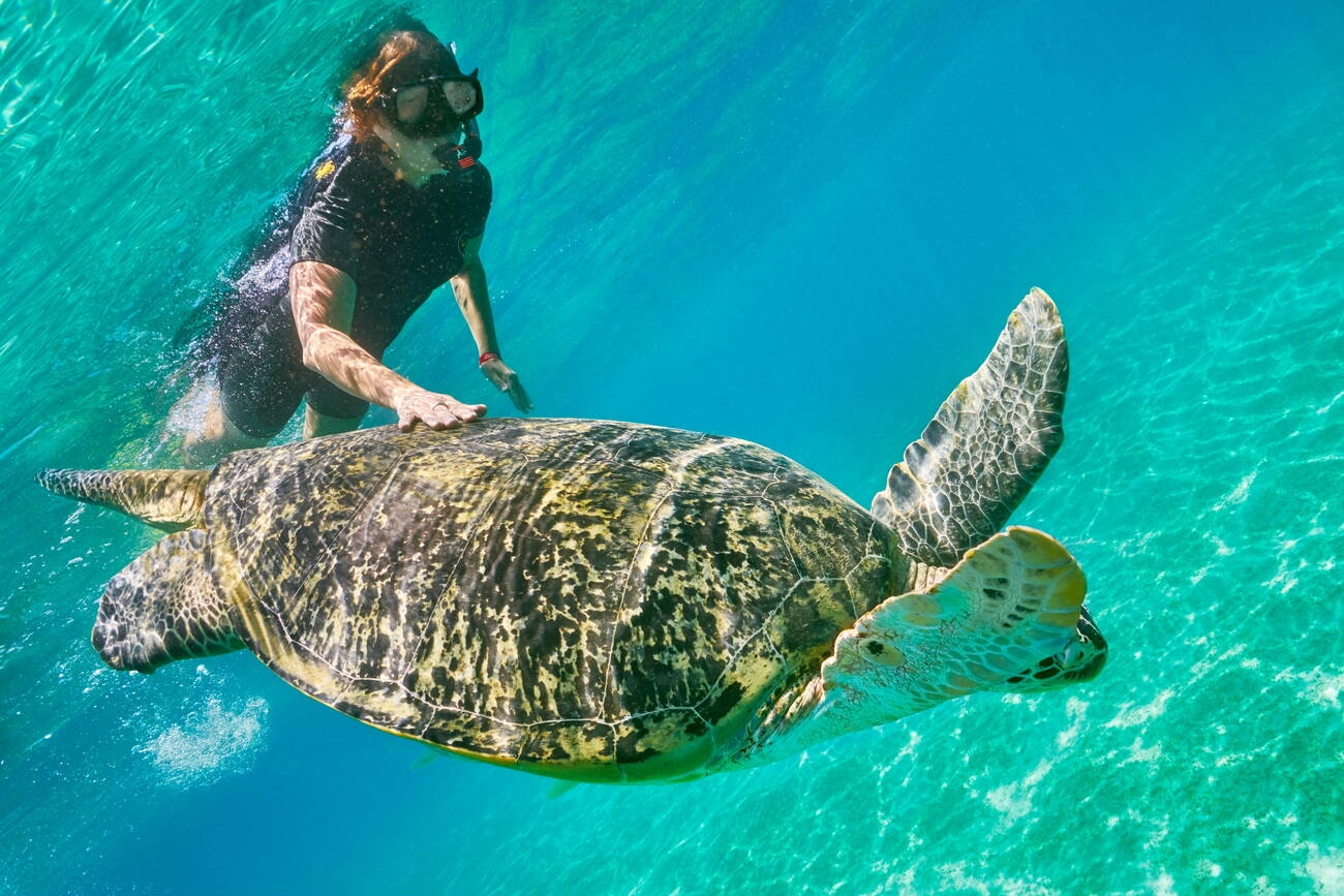 Underwater view at Green Sea Turtle and a young woman, Marsa Alam, Abu Dabbab Bay, Red Sea, Egypt