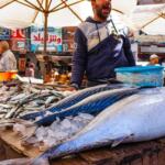 anfushi fish market alexandria 053