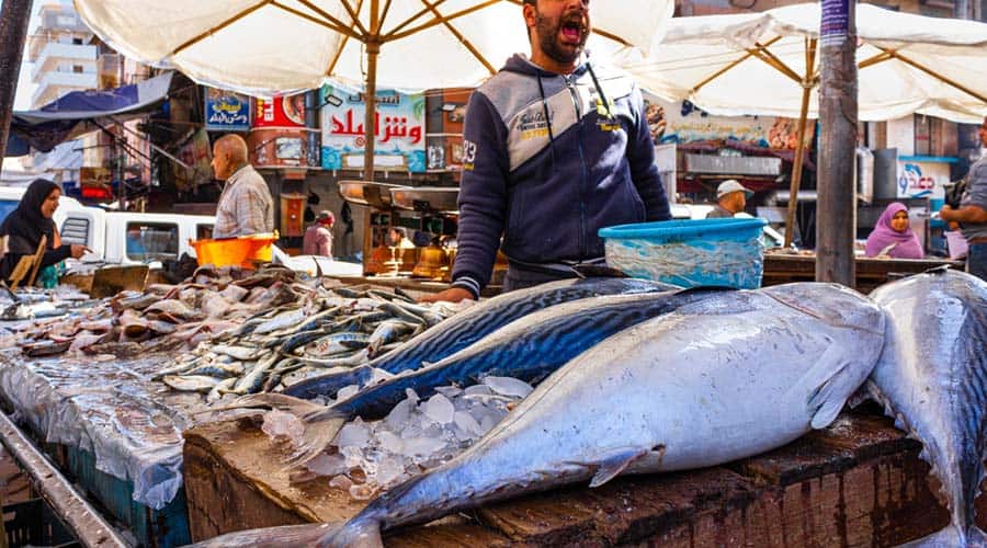 anfushi fish market alexandria 053