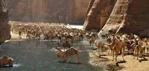 Wadi El Gemal National Park