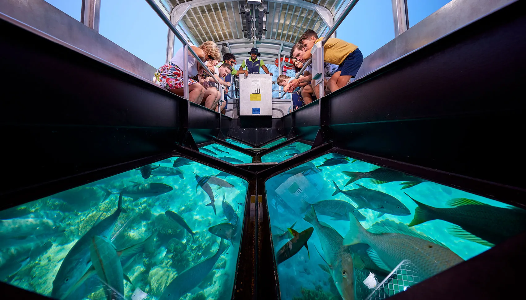 Glass Bottom Boat Trip: The Red Sea’s Crystal Window