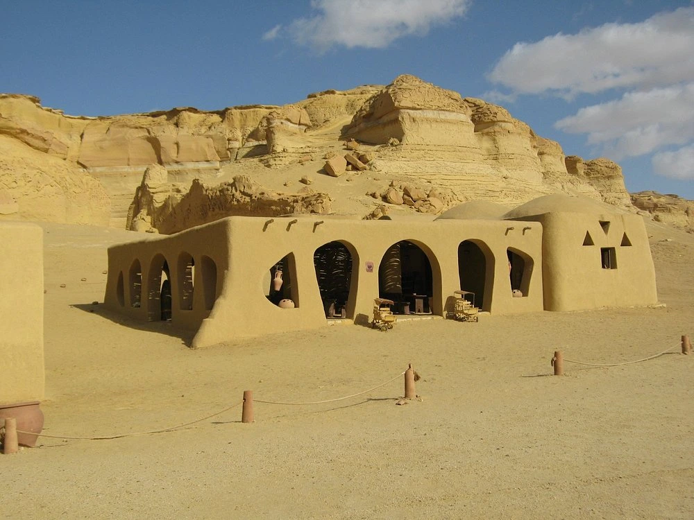 Wadi Al-Hitan: Egypt’s Ancient Open-Air Museum