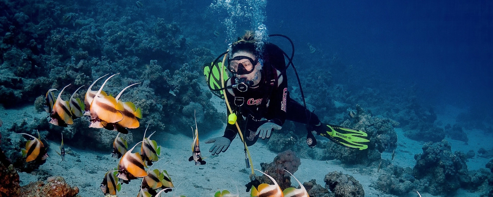 A scuba diver exploring v15 Days Honeymoon Egypt - Romantic Red Sea Diving Experienceibrant coral reefs and marine life in the clear waters of Hurghada, Red Sea