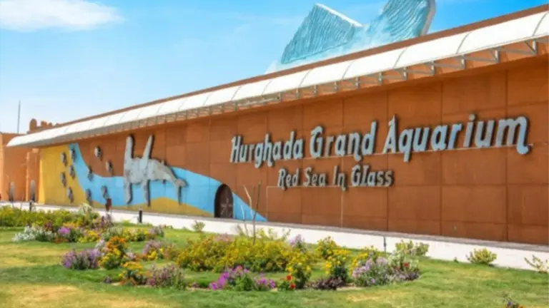 Hurghada Grand Aquarium: The Red Sea in Glass