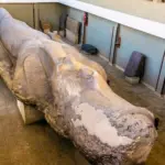 Memphis Open Air Museum Colossus of Ramses II 4