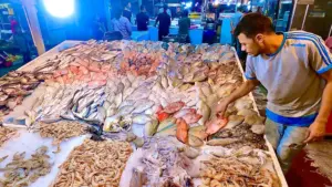 Alexandria Fish Market: A Culinary Voyage on the Mediterranean