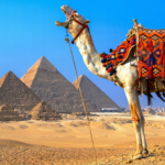 egypt travel tips 2 1 scaled