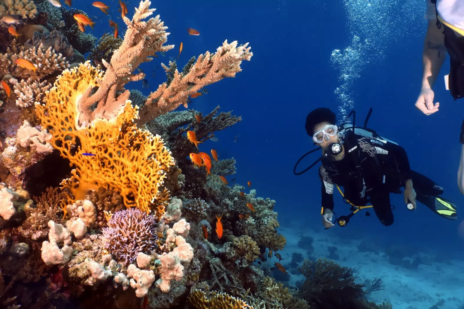 Discover Scuba Diving in Hurghada