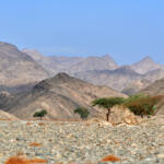 27035 Wadi el Gemal