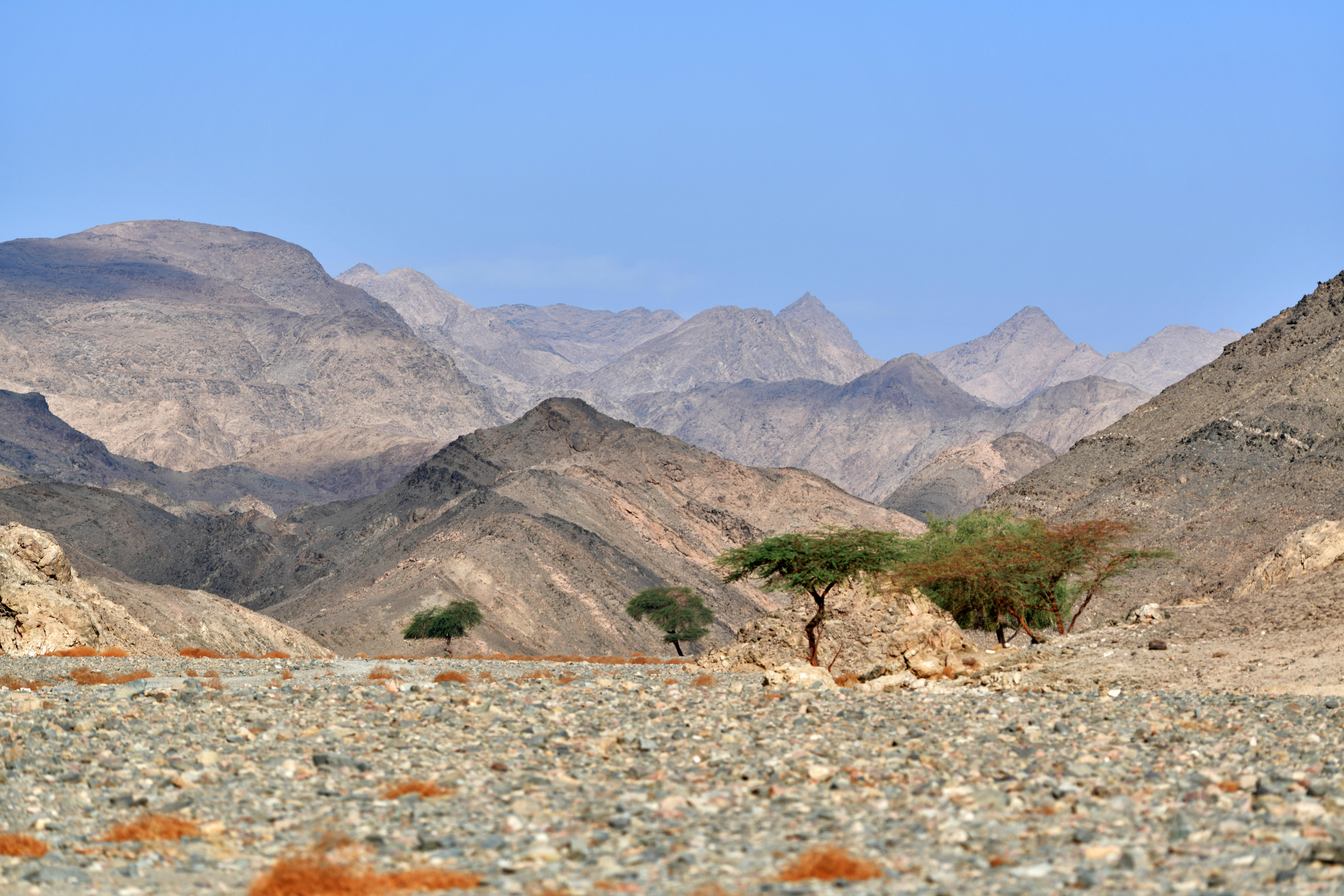 27035 Wadi el Gemal