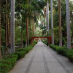 Aswan Botanical Garden 3