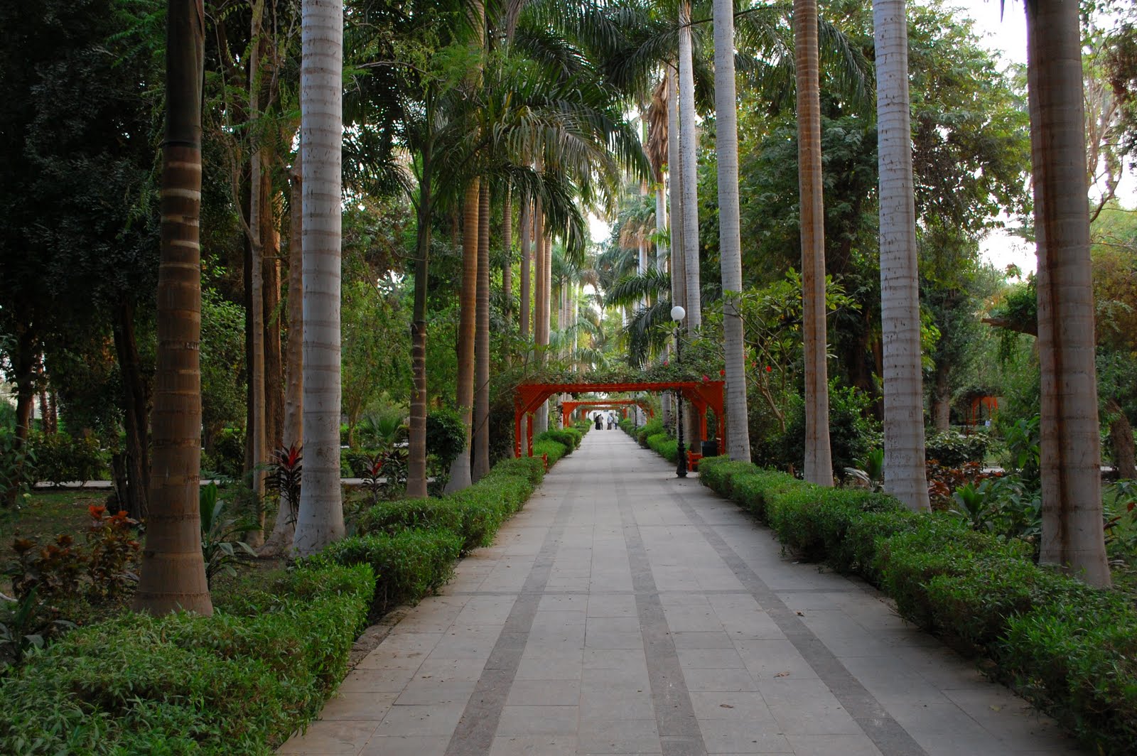 Aswan Botanical Garden 3