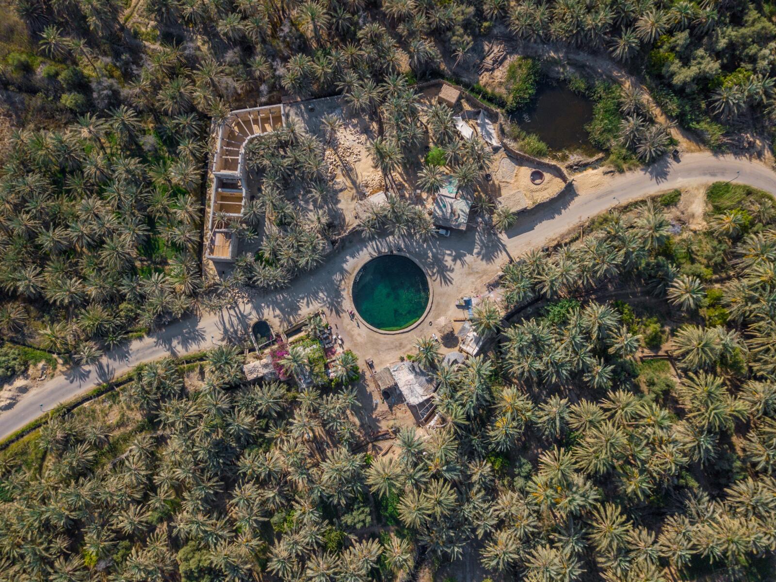 Cleopatra’s Spring: The Emerald Mirror of the Sahara