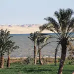 Faiyum Oasis e1651118930467