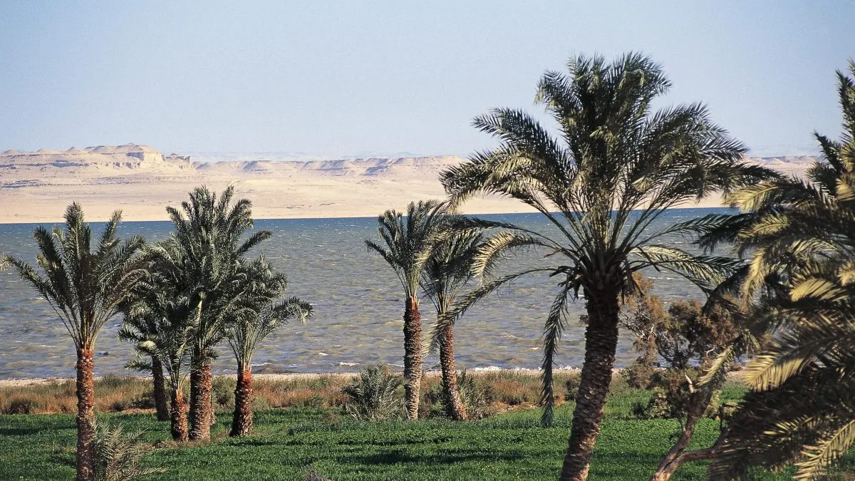 Faiyum Oasis e1651118930467