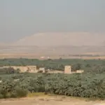 Kharga Oasis e1651078091921