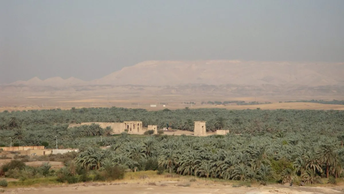 Kharga Oasis e1651078091921