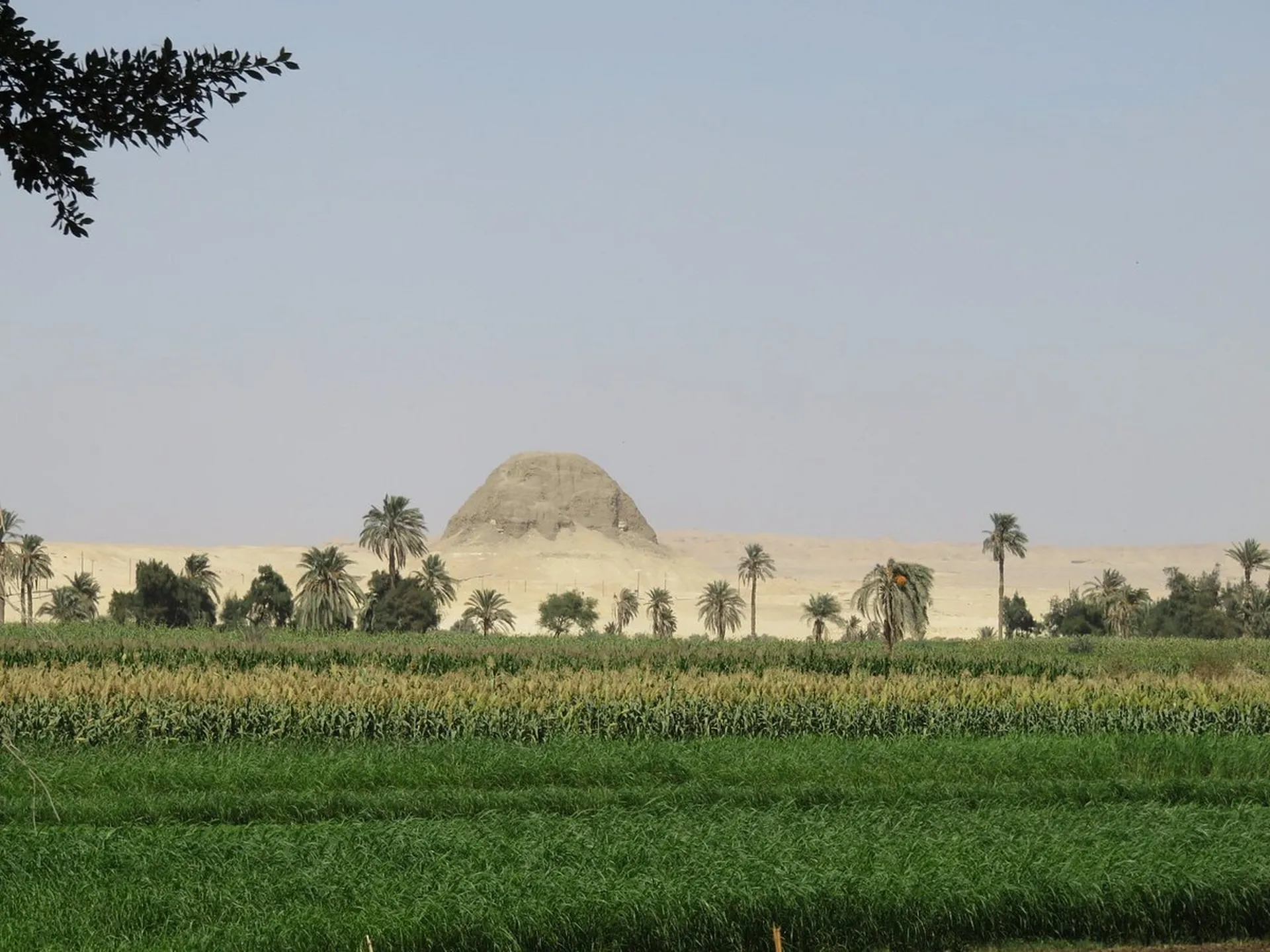 large the farmland is coming