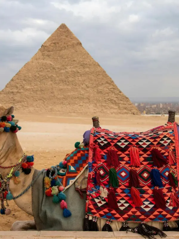 Egypt Day Tours