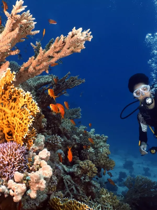 Hurghada & the Red Sea